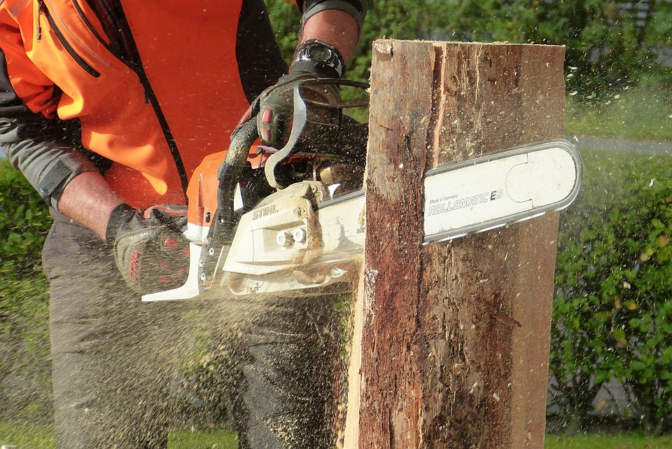 A man cutting a trunk